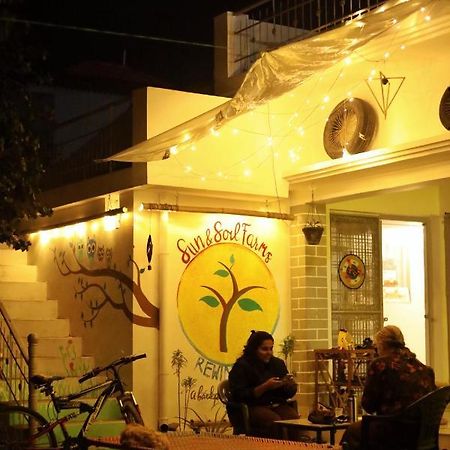 Sun N Soil Backpacker Hostel Lachhiwala Eksteriør billede