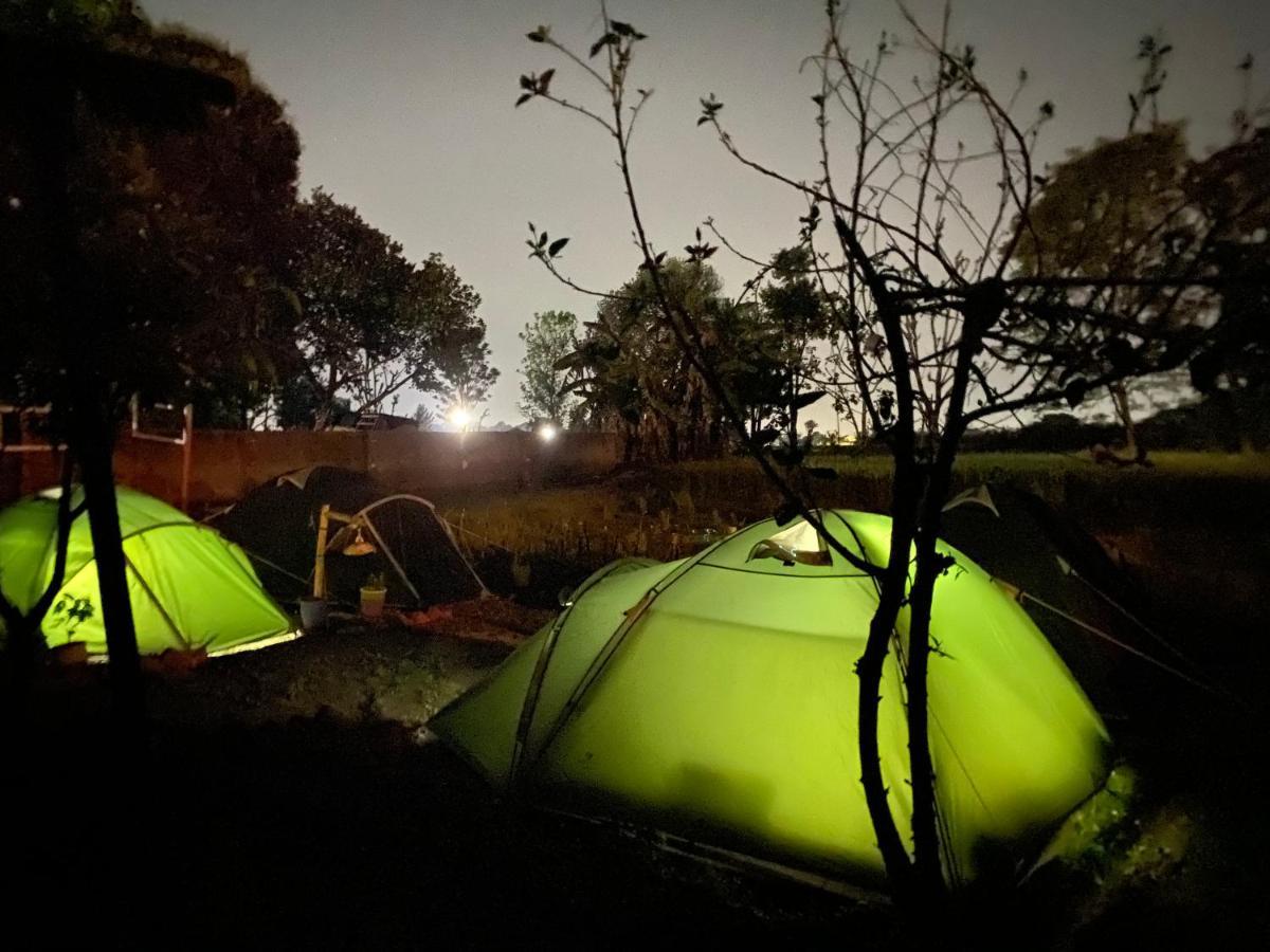 Sun N Soil Backpacker Hostel Lachhiwala Eksteriør billede