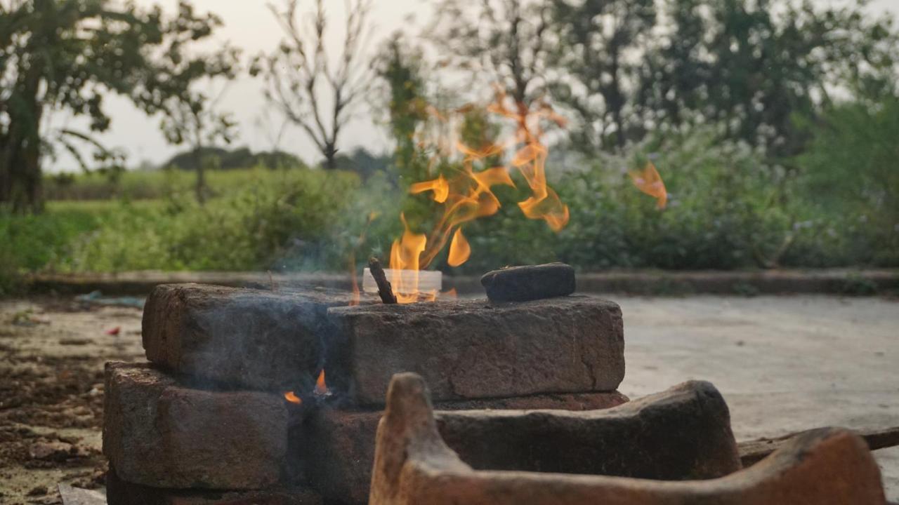 Sun N Soil Backpacker Hostel Lachhiwala Eksteriør billede