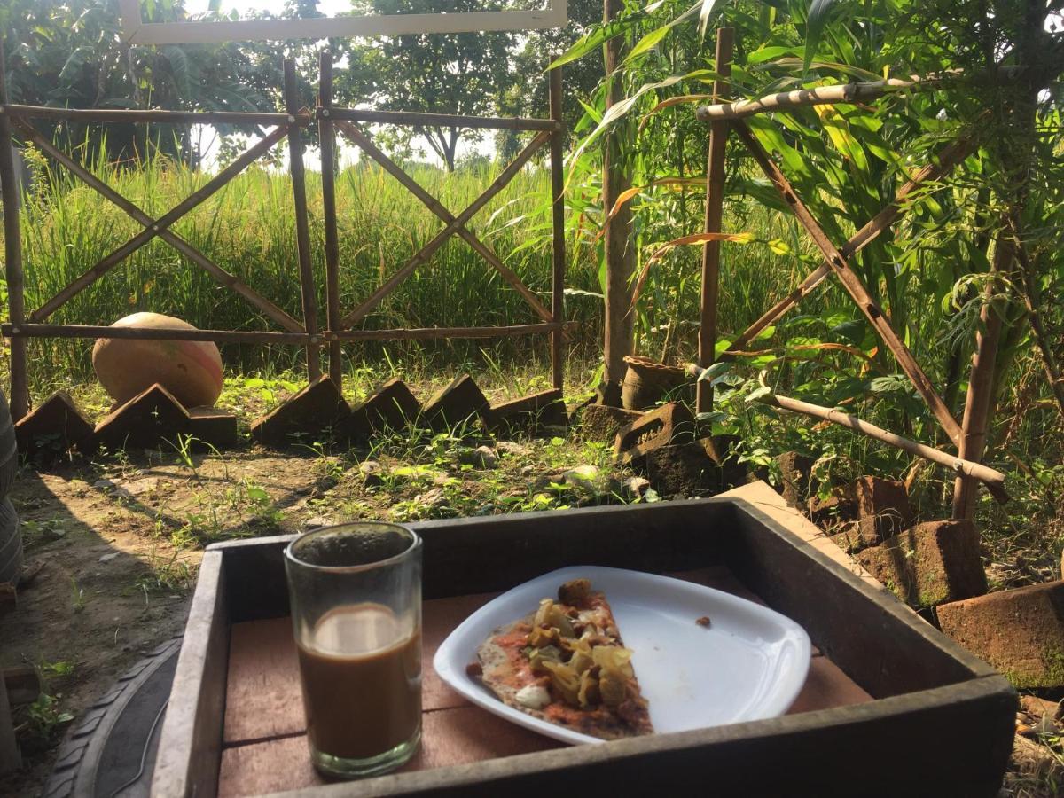 Sun N Soil Backpacker Hostel Lachhiwala Eksteriør billede