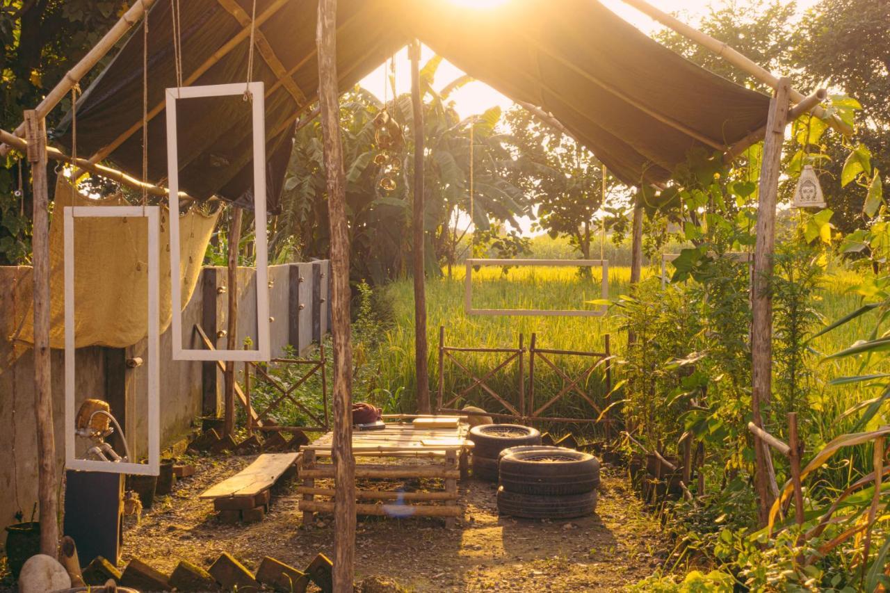 Sun N Soil Backpacker Hostel Lachhiwala Eksteriør billede